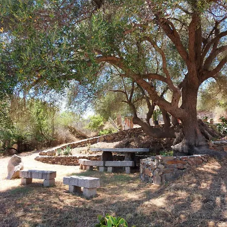 Appartamento Stazzo Vista Mare San Teodoro  Esterno foto